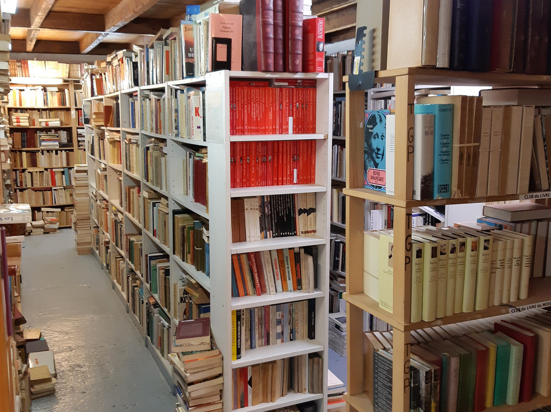 Librairie de L'Avenue-圣旺必去景点