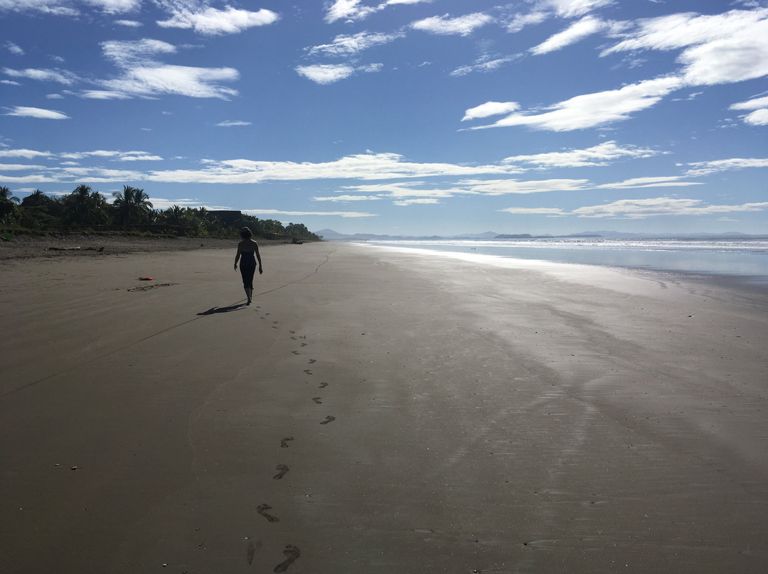 Las Lajas Beach Resort主图