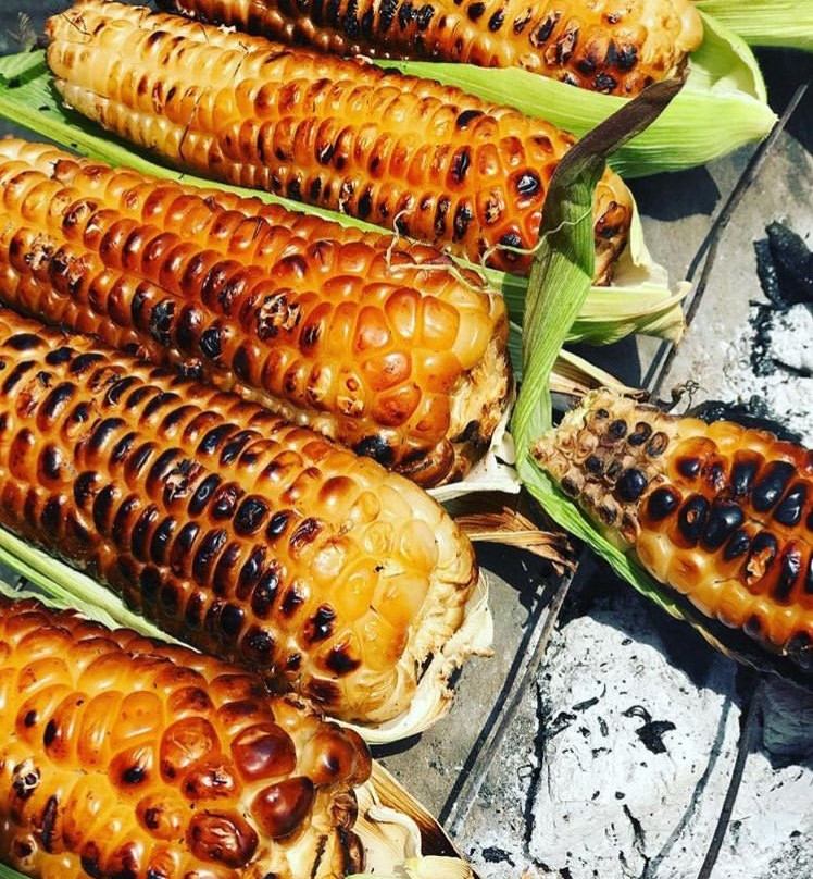 Sarath Safari Sigiriya-锡吉里亚必去景点