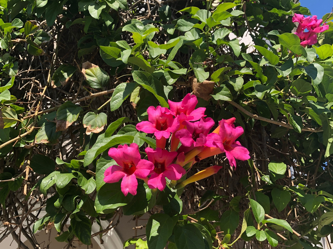 Roodenburg House主图