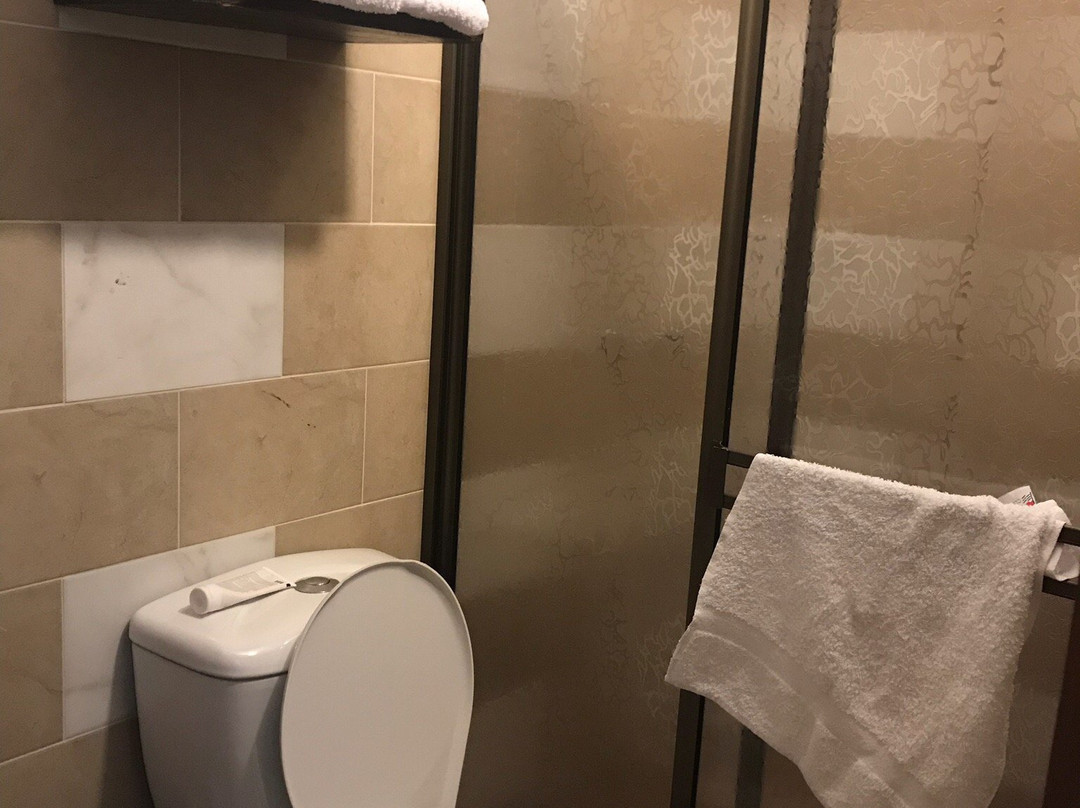 Hotel Madre Laura主图