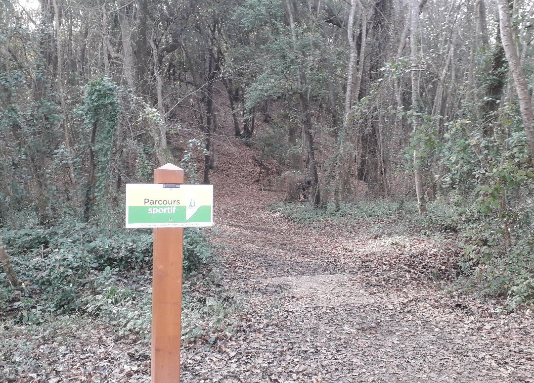 Parc de Vaugrenier景点图片