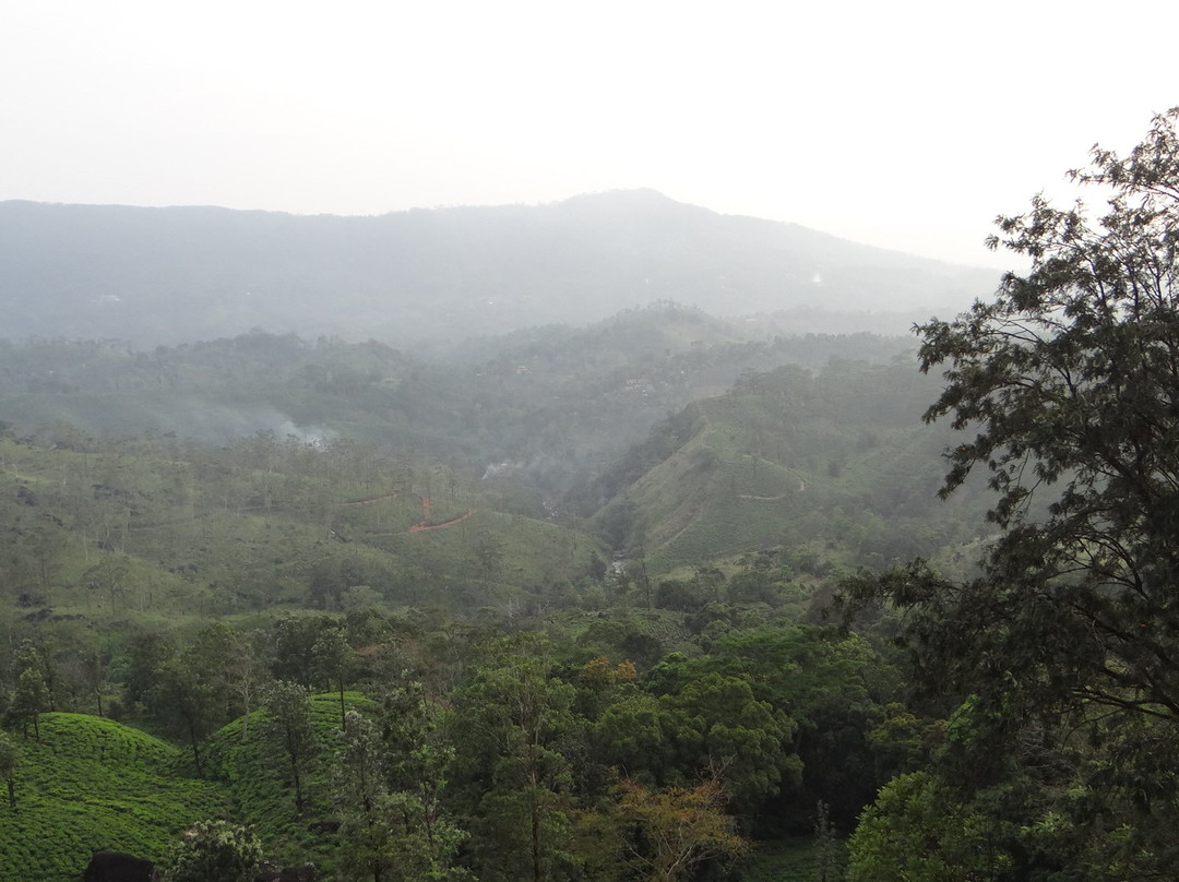 Sinharaja Green Homestay主图