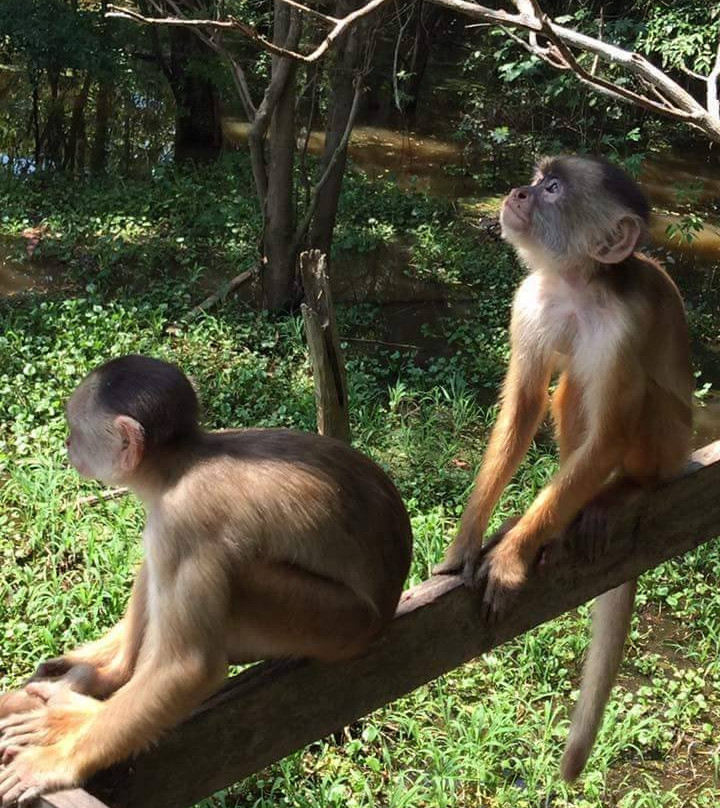 Parque Ecologico Janauary-Iranduba必去景点