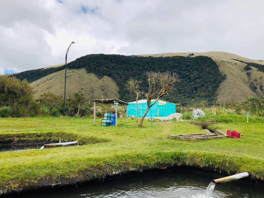 Laguna de Cumbal-Cumbal必去景点