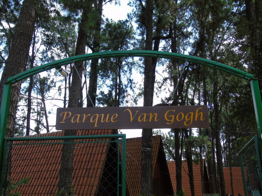 Parque Van Gogh景点图片