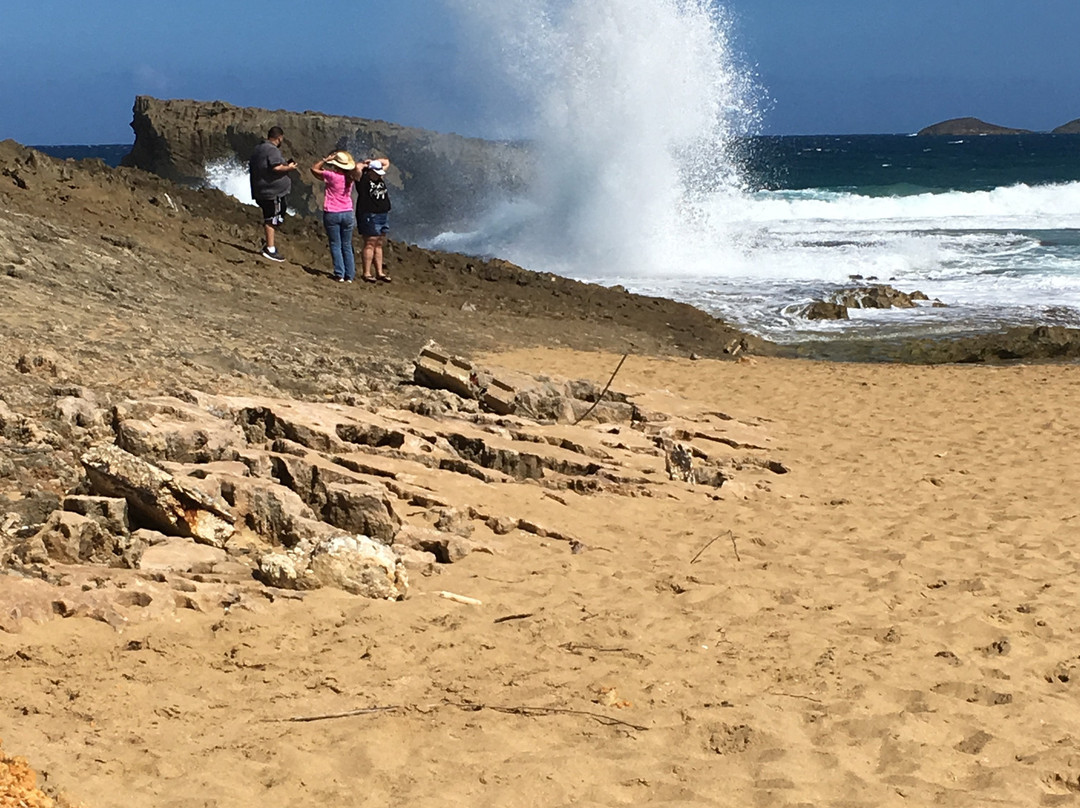 Puerto Rico Adventure Water Sports-Boqueron必去景点