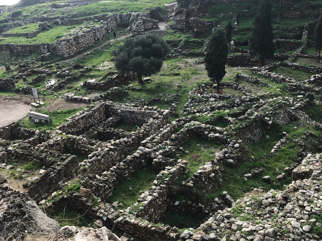 Byblos Public Park景点图片