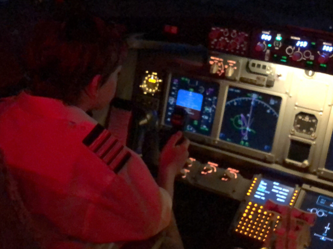 SunJet Simulations景点图片
