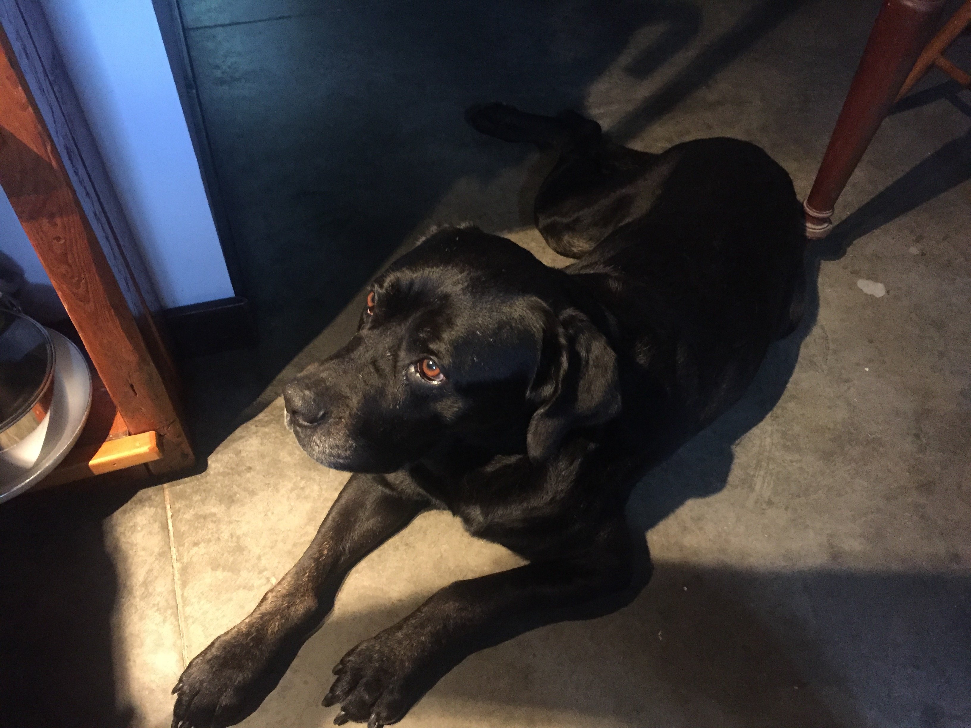 Owl's Nest Suites-官方