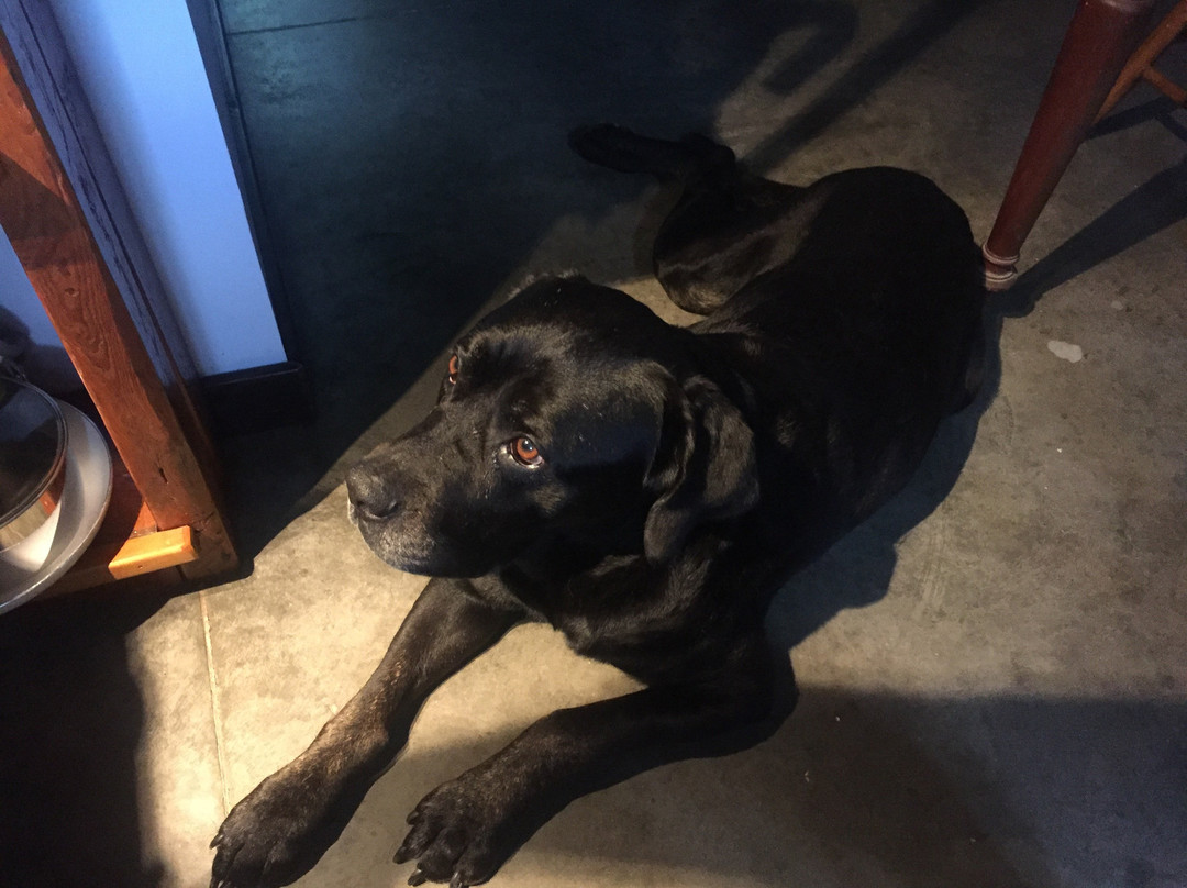 Owl's Nest Suites主图