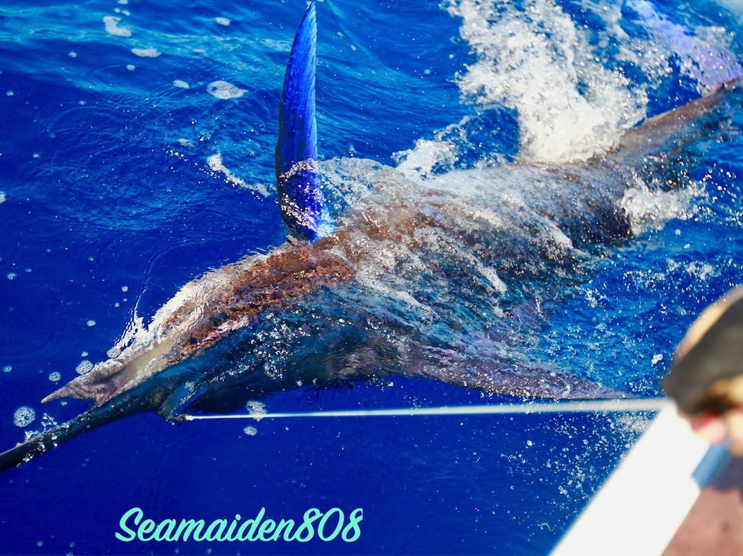 Hotshot Charters-Runaway Bay必去景点