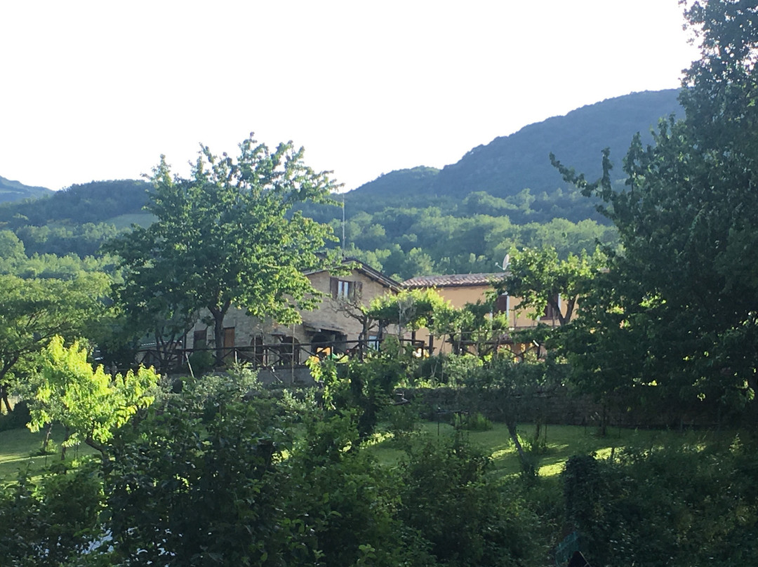 B&B Amici Country主图