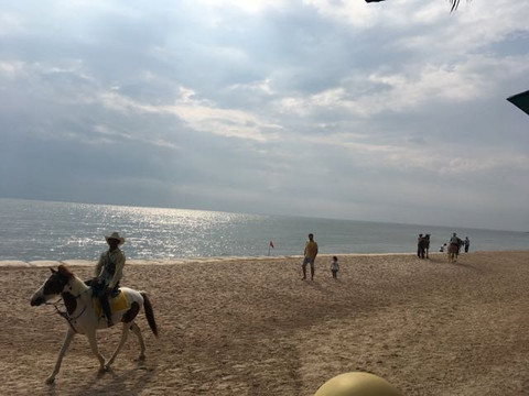 丽晶海滩假日度假村主图