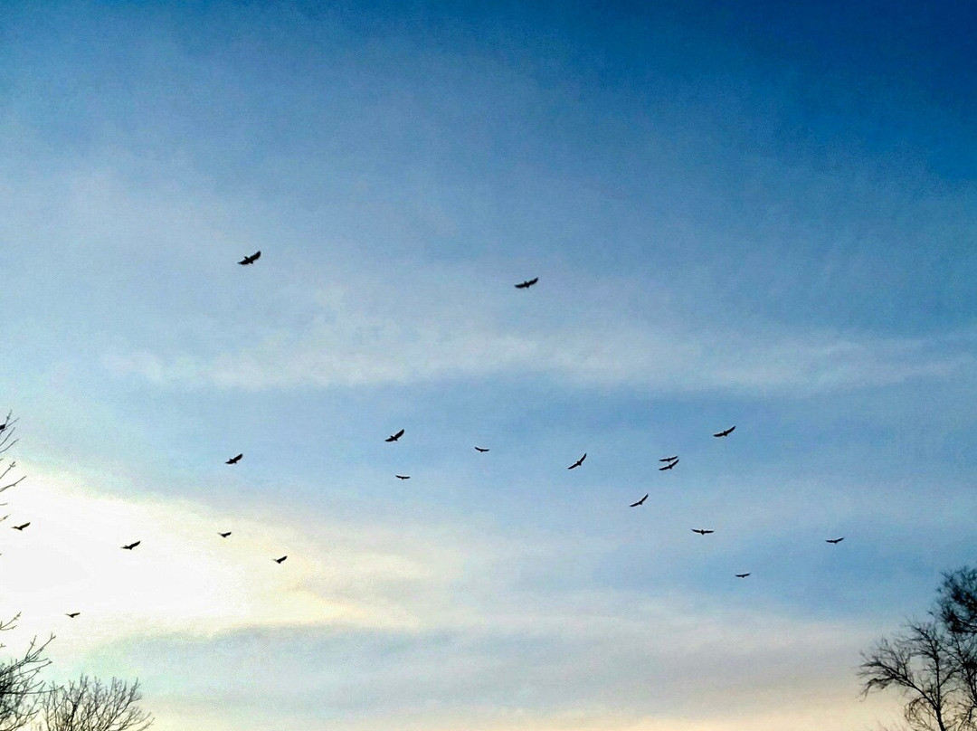 Crow Flies High Butte景点图片