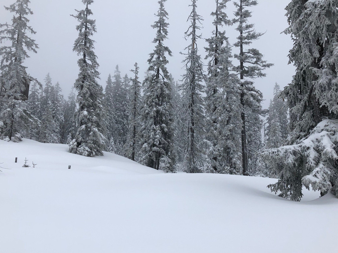 Skischule Bogei Filzmoos-菲尔兹摩斯必去景点