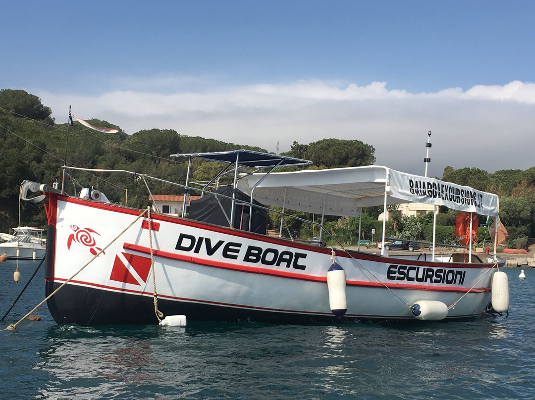 Baiarda Dive Boat Excursions景点图片