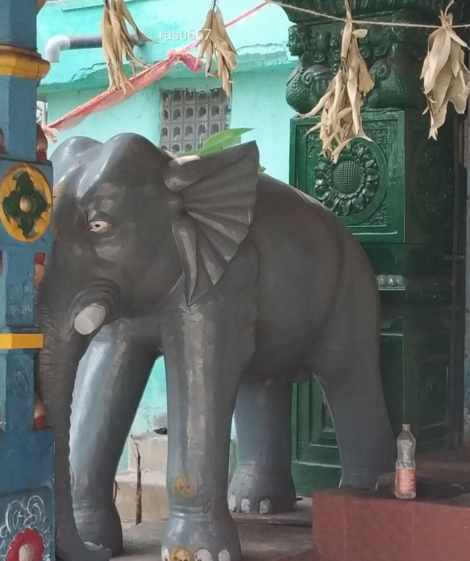 Sri Venkateswara Temple景点图片