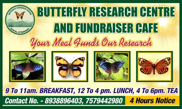 Butterfly Research Centre and Fundraiser Cafe景点图片