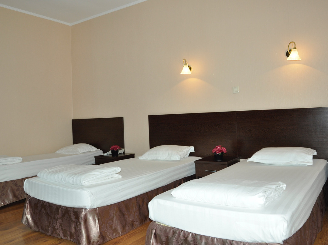 Sultan Beibarys Hotel主图