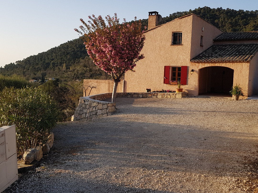 L'Estuve Provençale主图