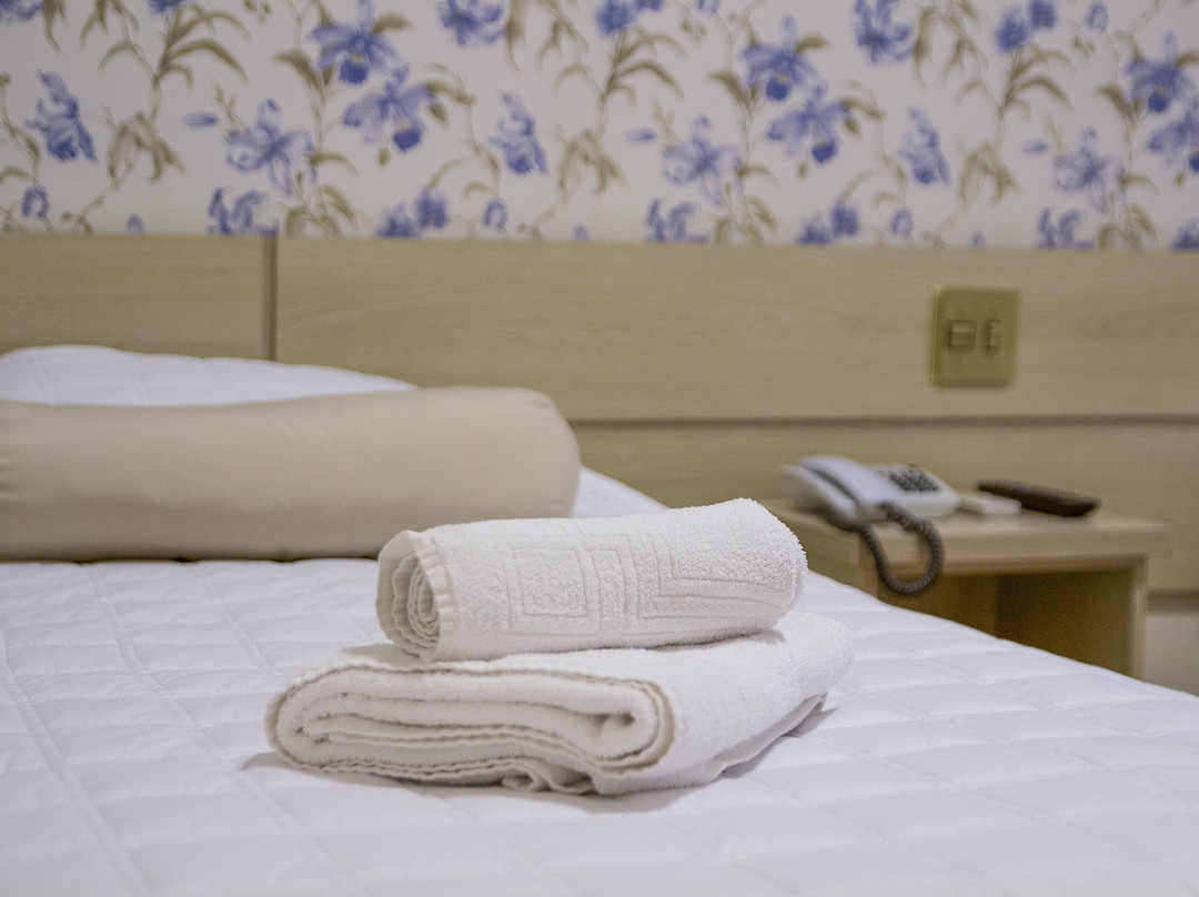 塞拉德容迪亚伊酒店主图