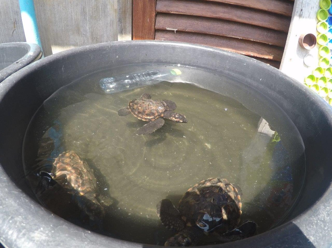 Atoll Marine Center-Naifaru必去景点