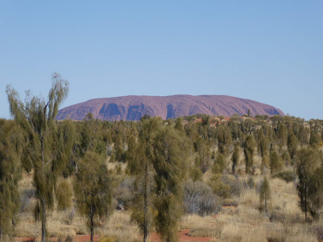 东经131酒店主图