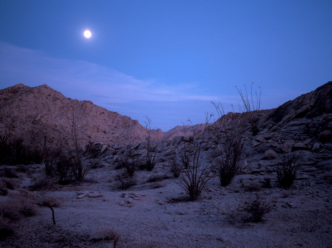 Cabeza Prieta National Wildlife Refuge-Ajo必去景点