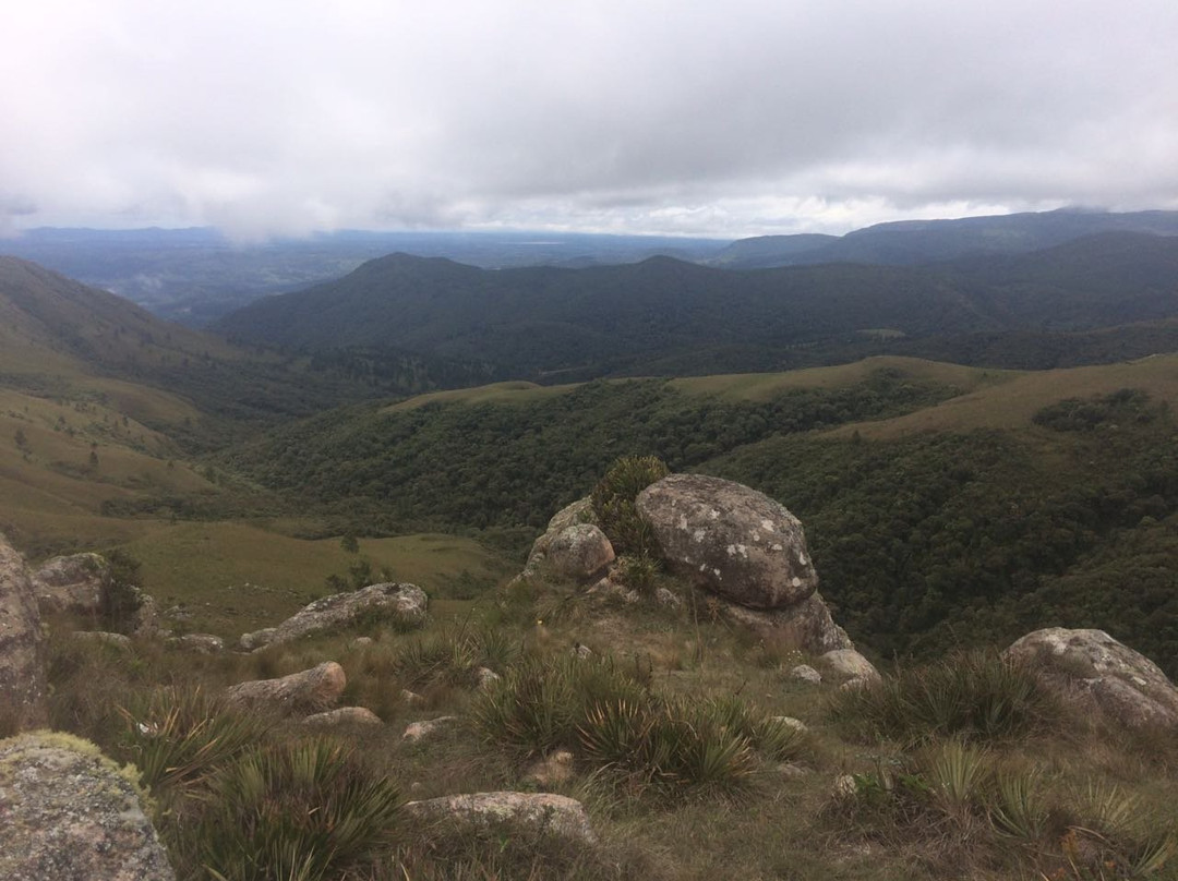 Campos do Quiriri景点图片