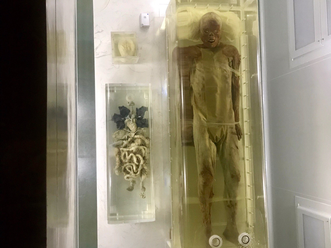 锦州市博物馆-锦州市必去景点