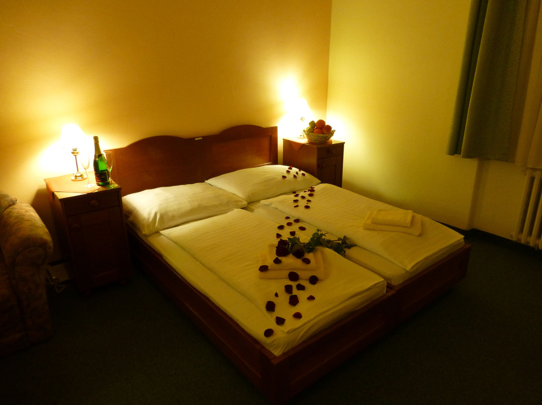 Hotel Korunni Princ主图