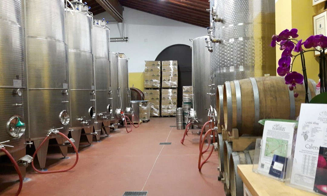 Azienda Agricola Luigino Molon景点图片