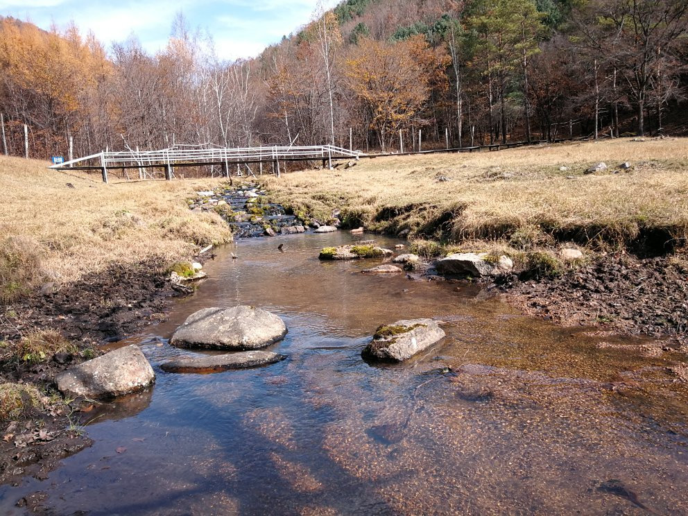 金山鹿苑-伊春市必去景点