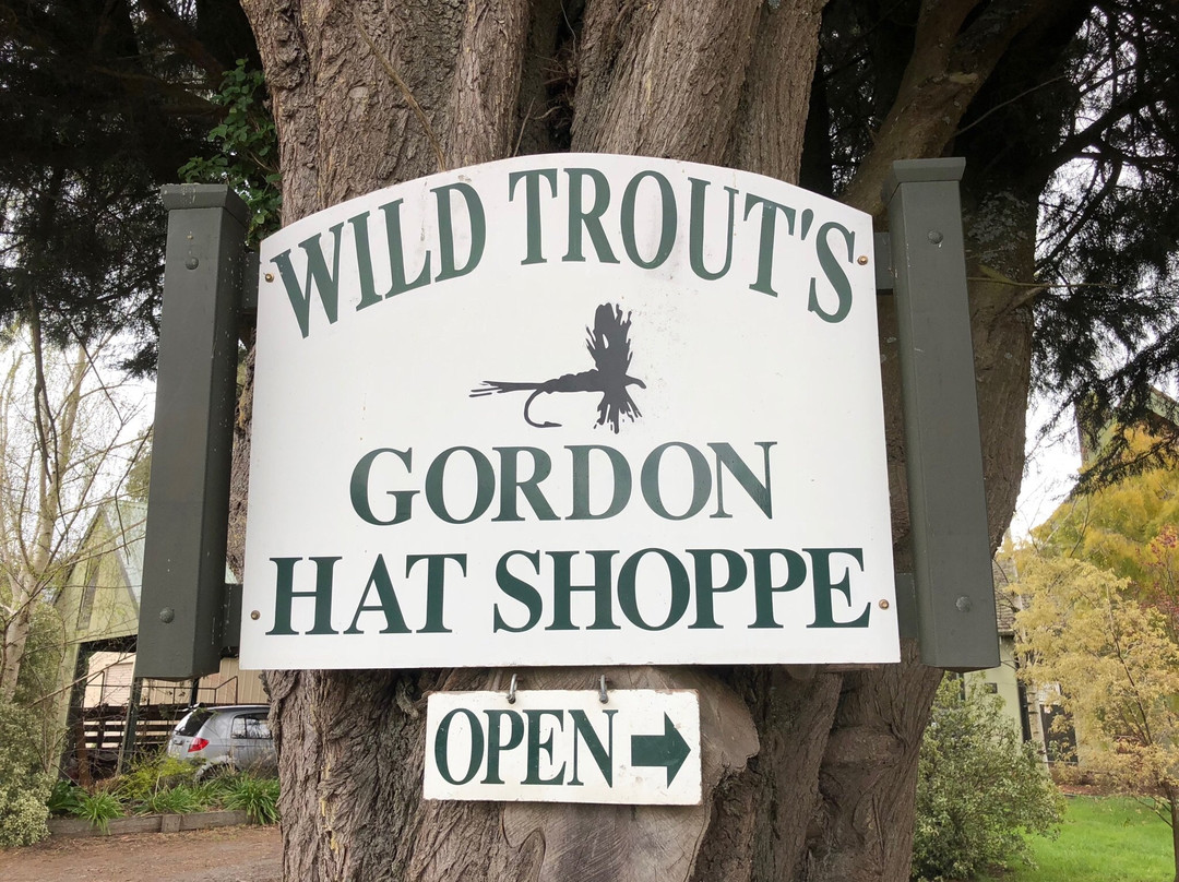 Wild Trout Downunde Gordon Hat Shoppe-Gordon必去景点