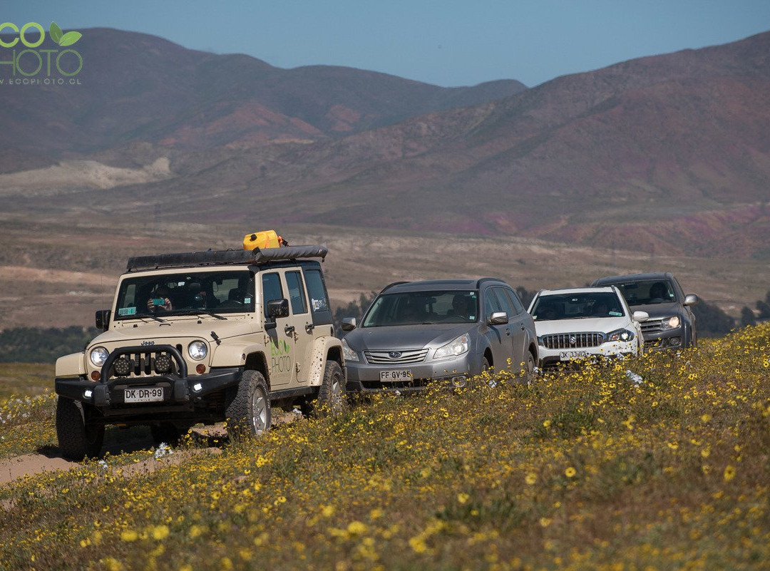Ecophoto-普孔必去景点