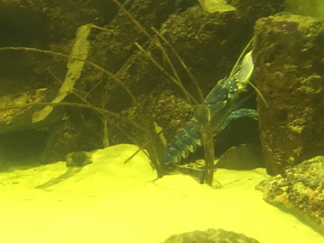 Nationalpark-Haus Wittbulten-斯匹科罗格必去景点