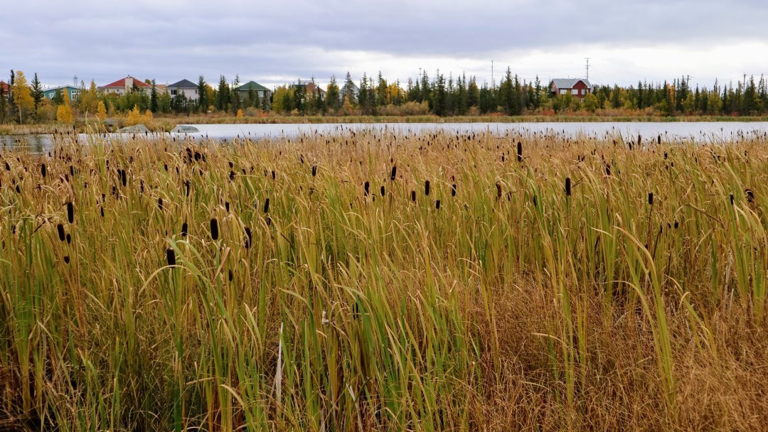Niven Lake Trail-黄刀镇必去景点
