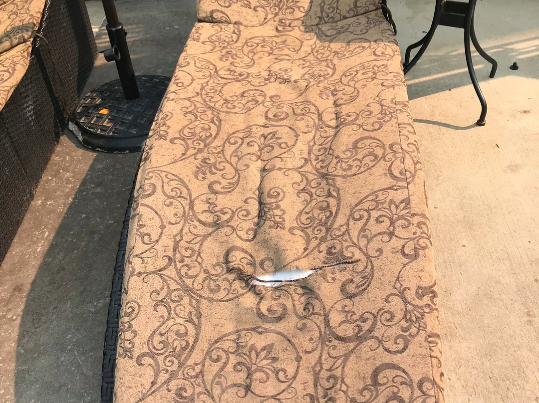 Copper Point Resort主图