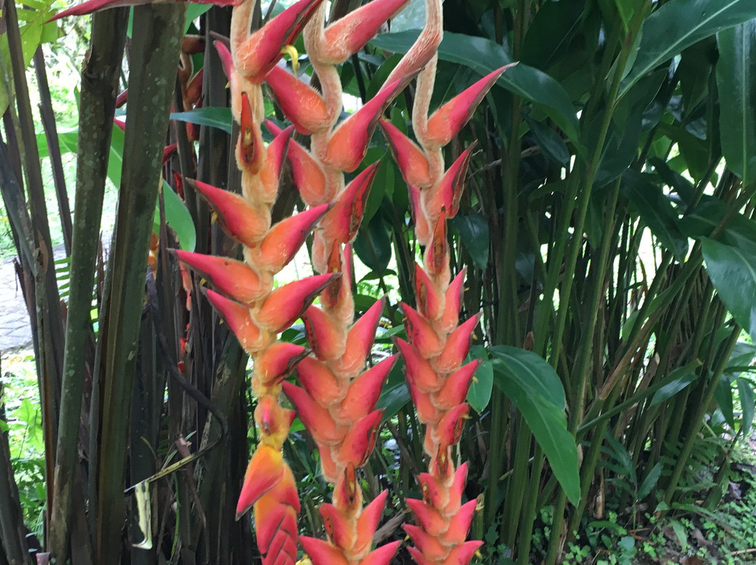 Yesland-卡维塔必去景点