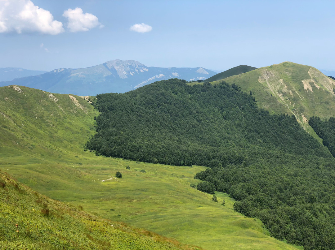 Canali旅游攻略图片