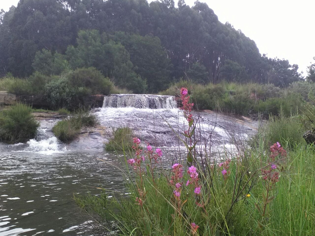 Lothair酒店住宿-Rocks and Roses Bed and Breakfast