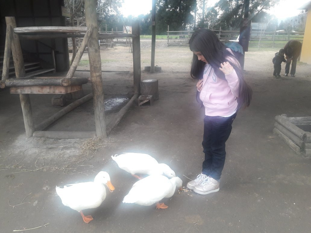 Granja Educativa De Lonquen景点图片