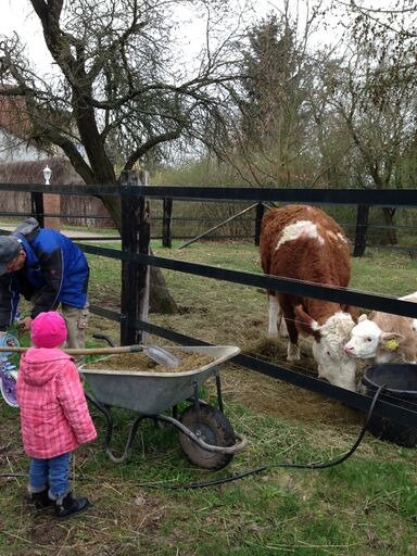 Zum alten Ponyhof主图