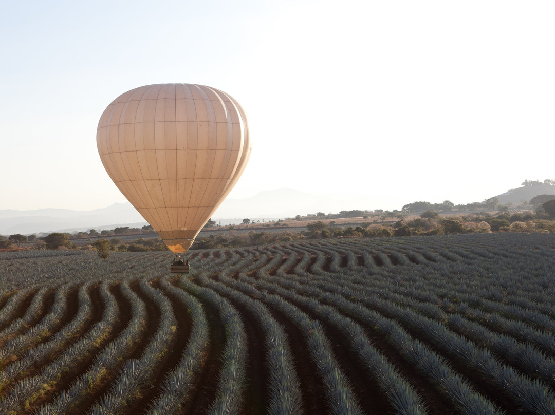Jalisco en Globo-Amatitan必去景点