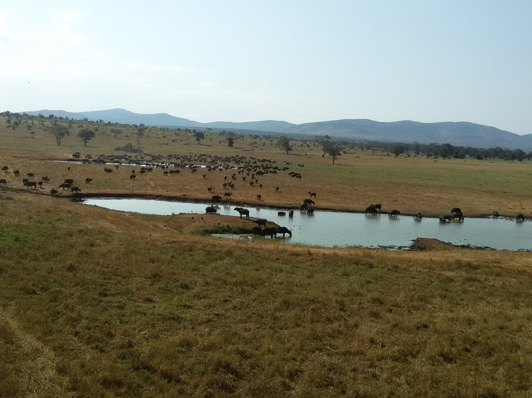 Ahotsun Safari 2000景点图片