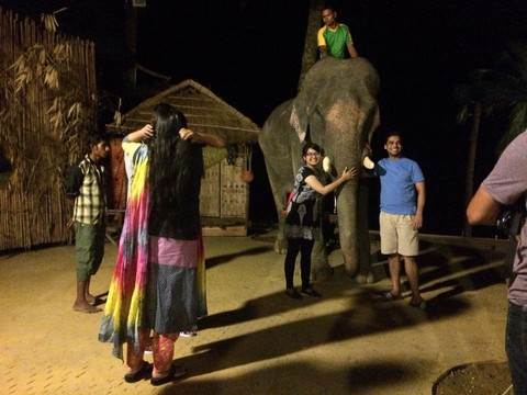 Elephant Show-科克斯巴扎尔必去景点