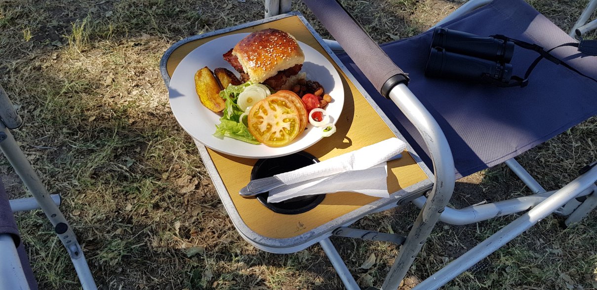 Camelthorn Lodge-餐饮