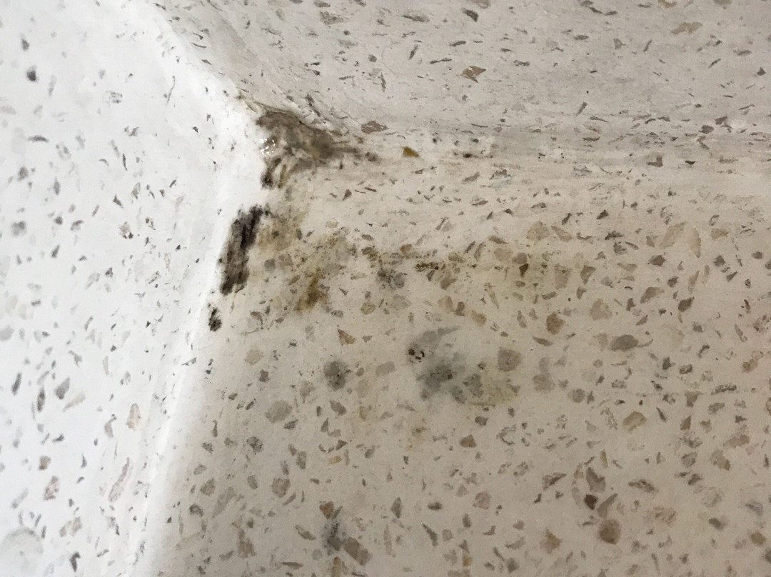 La Chancellerie主图