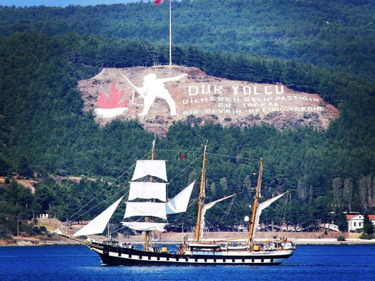 Dardanelles 1915 Home Pension主图